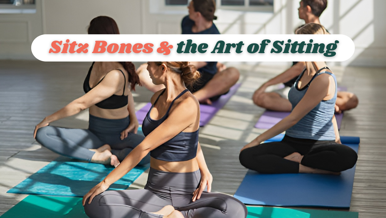 Sitz Bones & the Art of Sitting