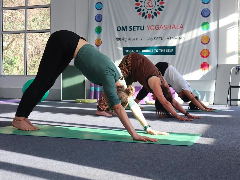 Yoga Teacher Training